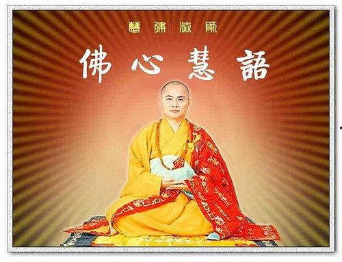 佛法视频,视频中的心灵启迪之旅