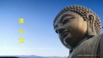 佛法视频,视频中的心灵启迪之旅