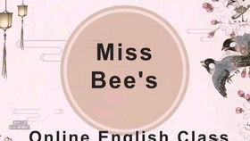 视频学英语,Unlocking English Skills: A Video Learning Journey Overview