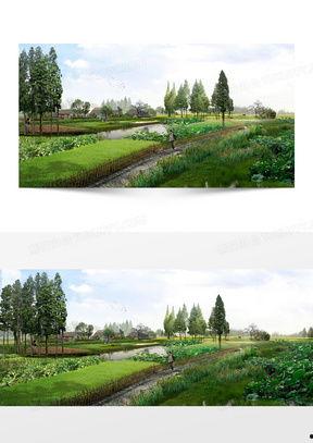 农村风景视频素材,走进农村的美丽画卷