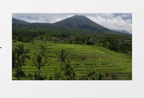 农村风景视频素材,走进农村的美丽画卷