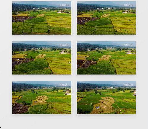 农村风景视频素材,走进农村的美丽画卷