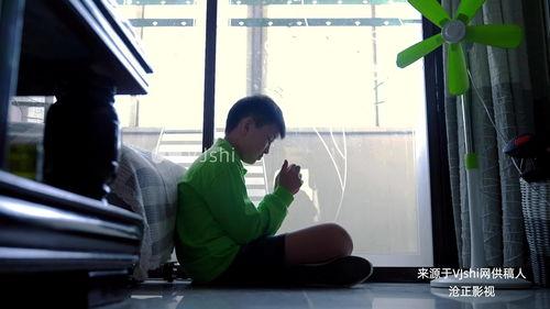 自闭症视频,视频揭示的内心世界与挑战