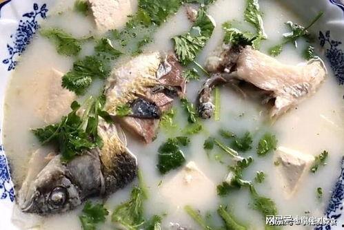 鲫鱼汤视频