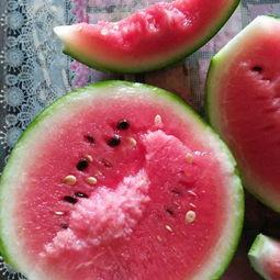 水果吊瓜今日价格行情,涨跌波动一览