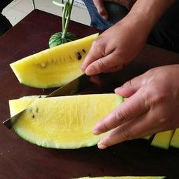 水果吊瓜今日价格行情,涨跌波动一览