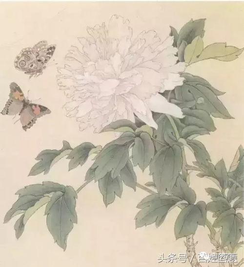 工笔画入门教学视频