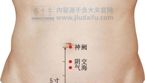 拍打腹部视频,轻松塑形，健康生活新选择